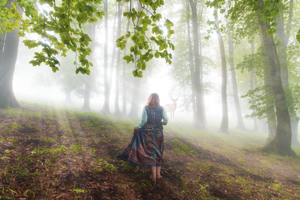 Photograph by Amir Khan