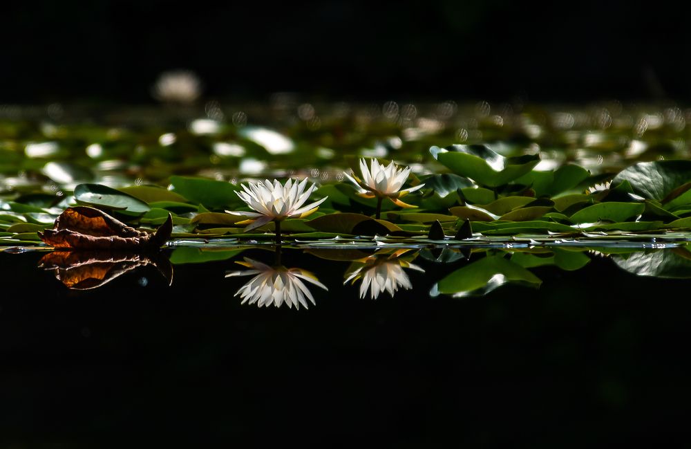 Photograph by Myunggyu Bae