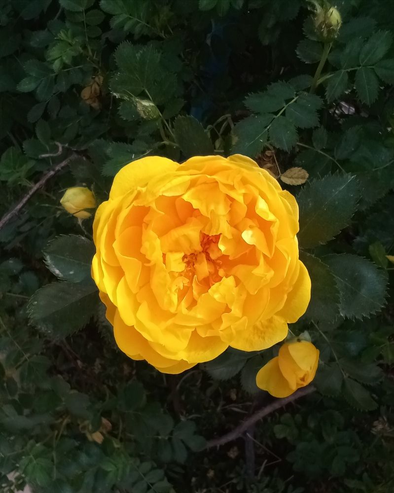 Photograph by Лилия Потравнова