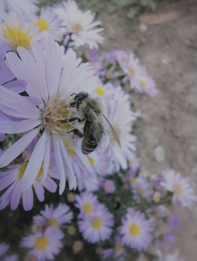 Photograph by Vesna Petkoska