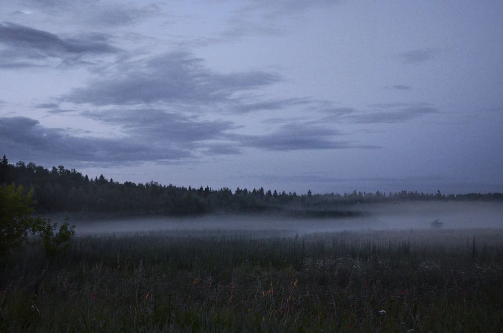 Photograph by Владимир  Асриян