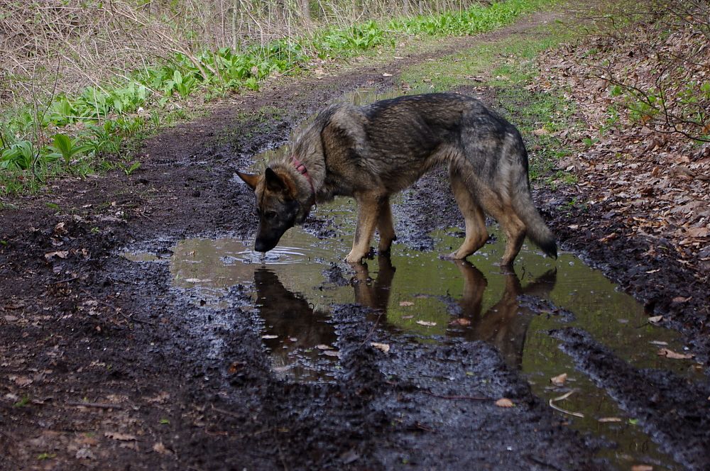 Photograph by Alba Zoe Gržin
