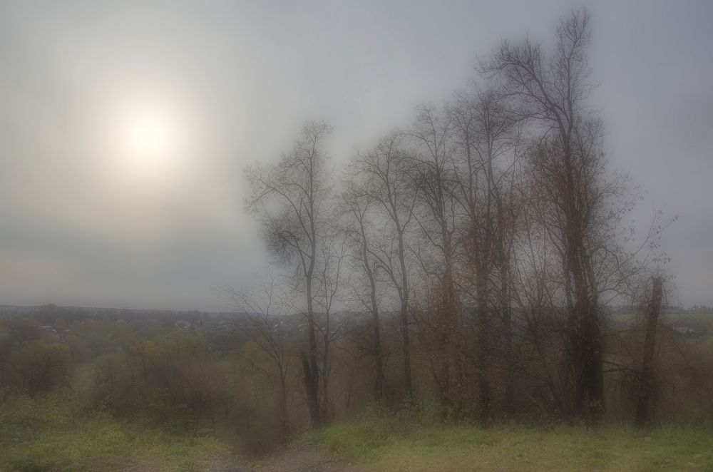 Photograph by Владимир  Асриян