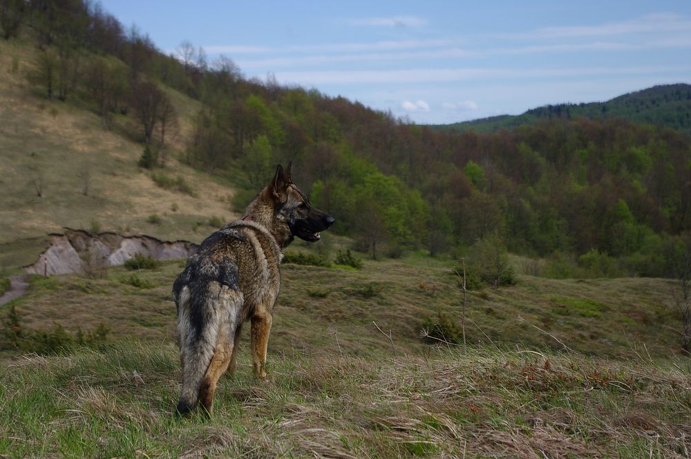 Photograph by Alba Zoe Gržin