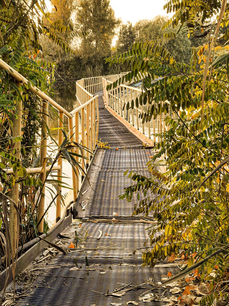 Фотография автора Ирина Якущенко