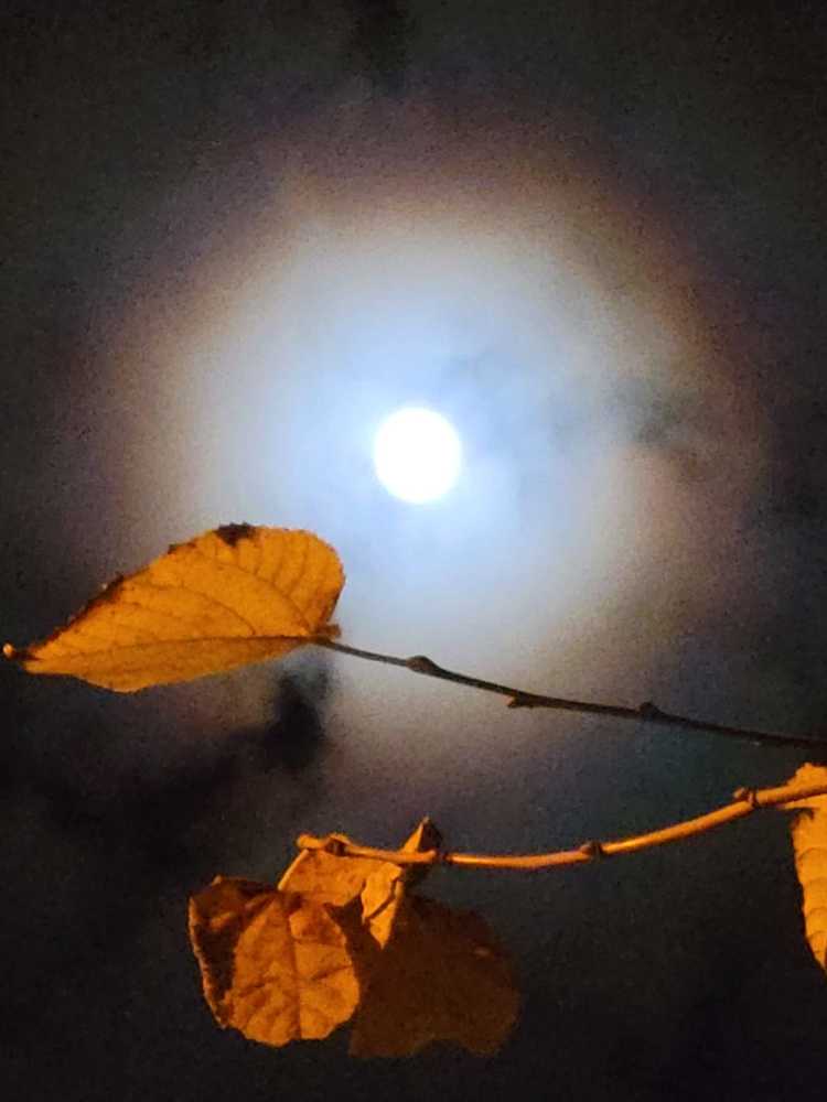 Photograph by Suzana Cakciri