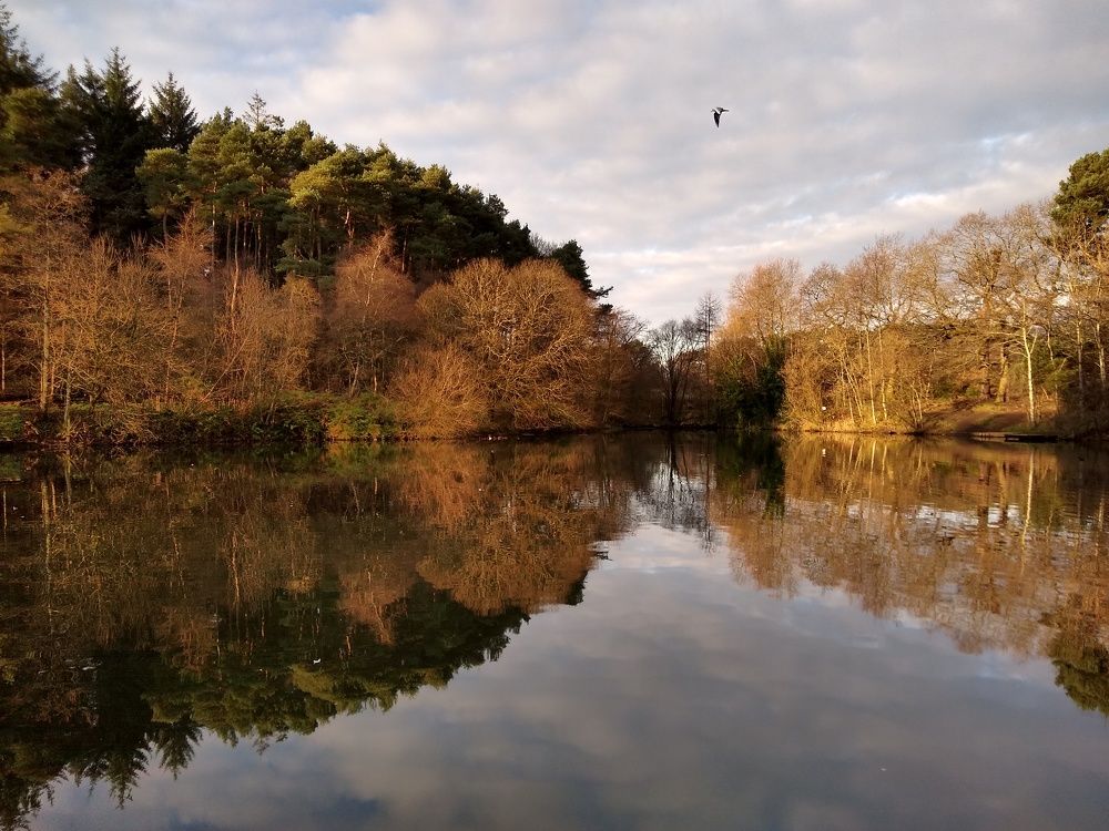 Photograph by Раиса Ламли
