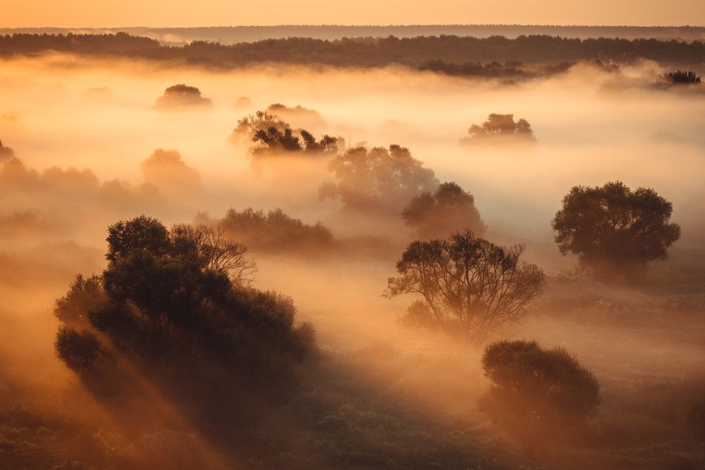 Photograph by Барабанов Алексей
