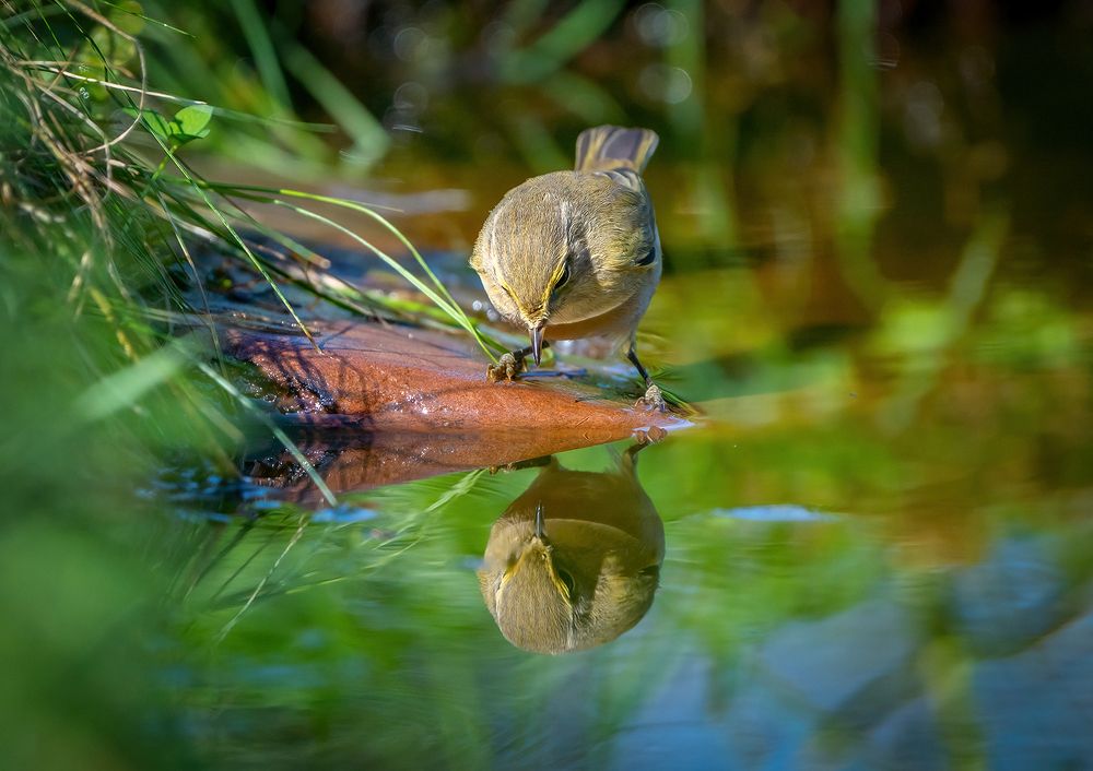 Photograph by Игорь Кляхин