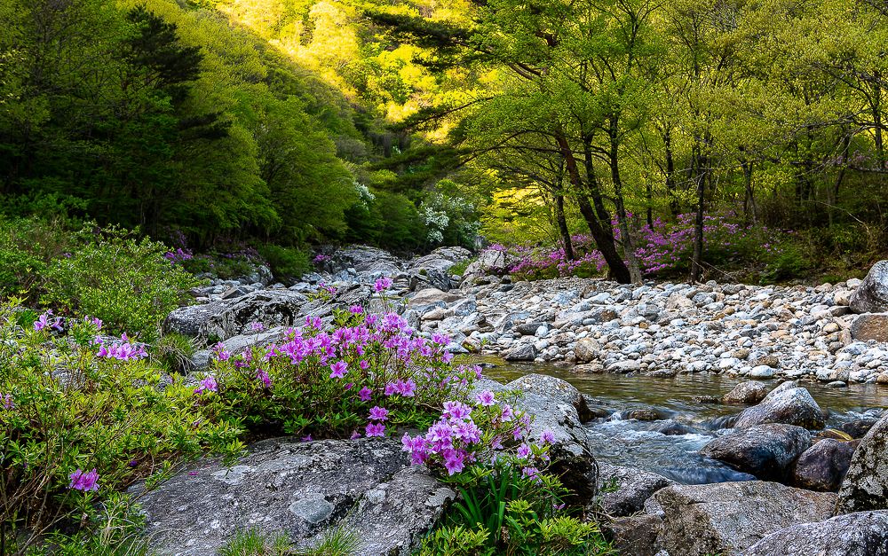 Photograph by Myunggyu Bae