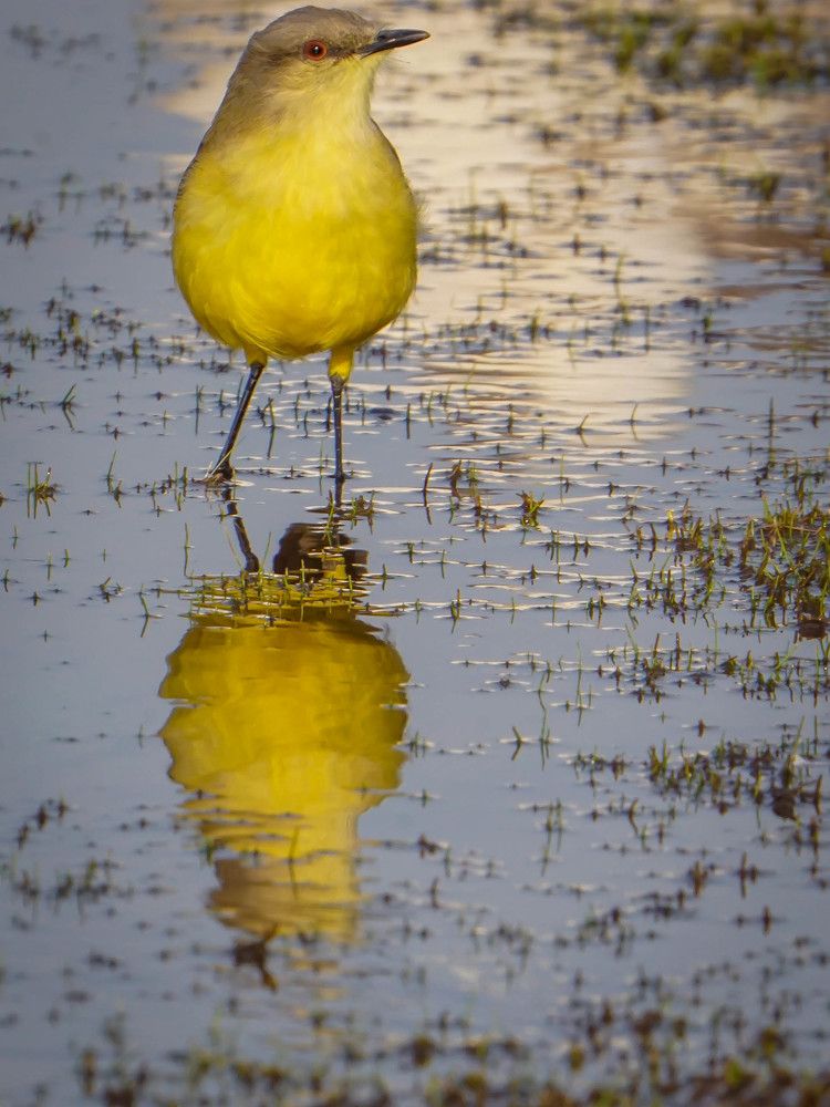 Photograph by Karina Elena Bergagna