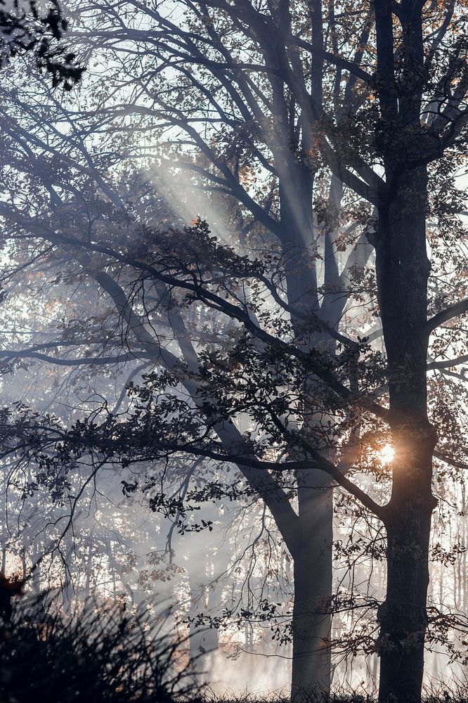 Photograph by Мария Гринёва