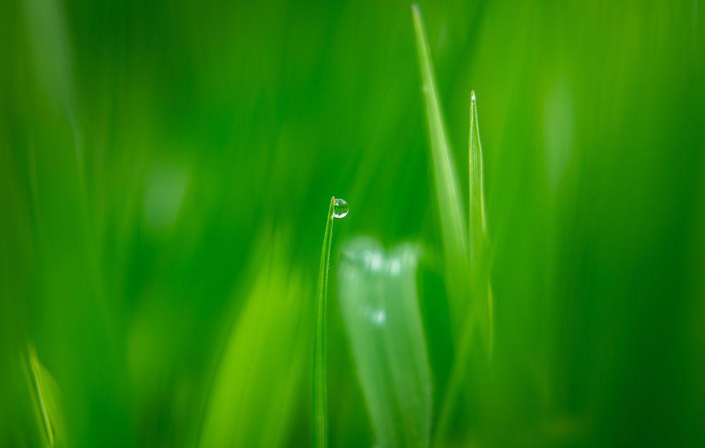 Photograph by Игорь Кляхин