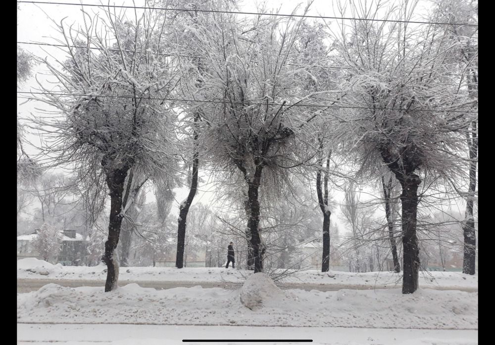 Фотография автора Тарасова Инна