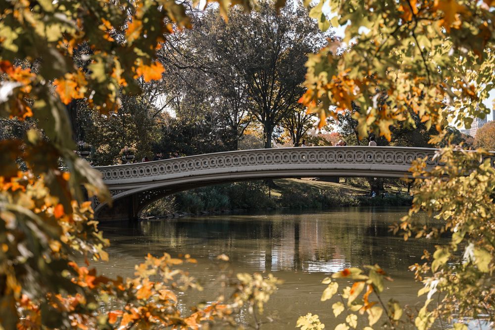 Photograph by Ekaterina Sukhanova