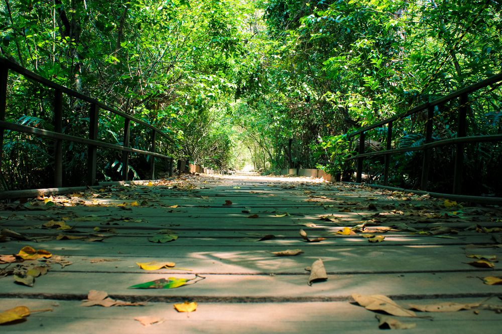 Фотография автора Cavalcante Pinheiro Filho José Flávio