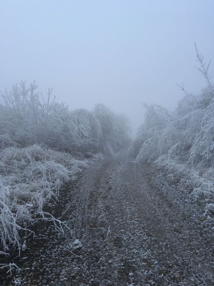 Photograph by Juli-sunny