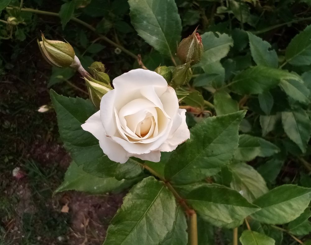 Photograph by Лилия Потравнова