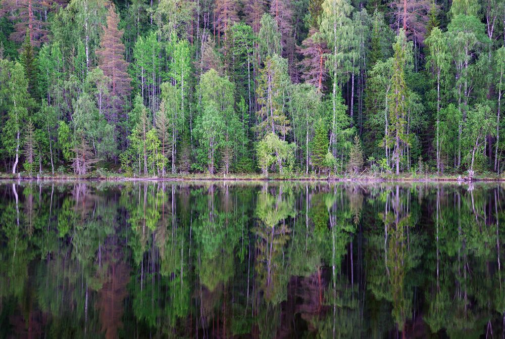 Photograph by Олег Милеев (Каминцев)