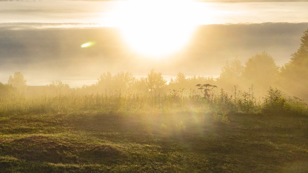 Photograph by Viktor Lazarev