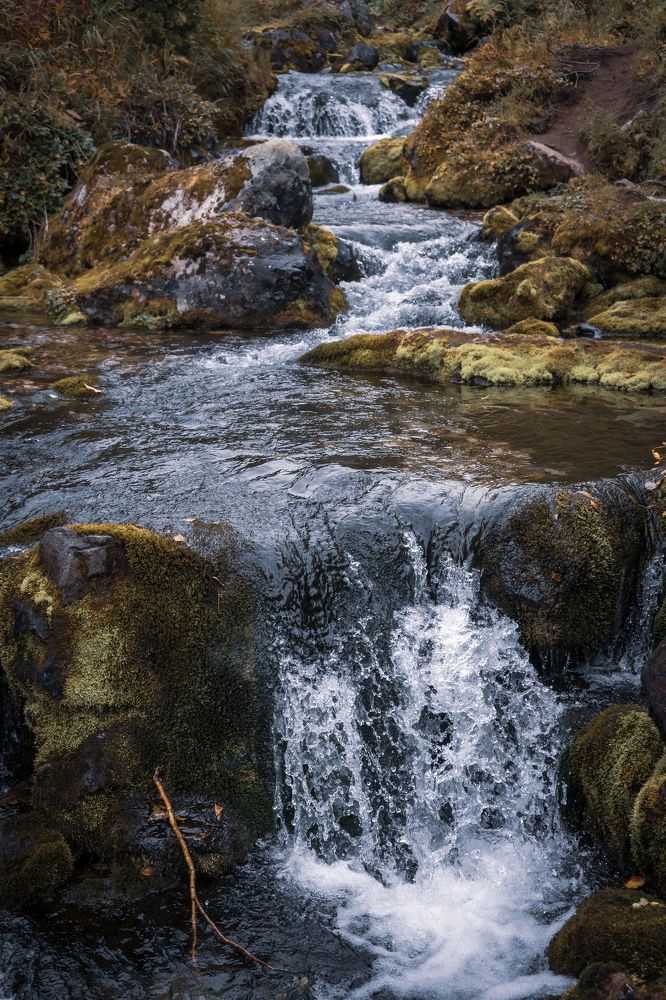 Фотография автора Антон Сандалов