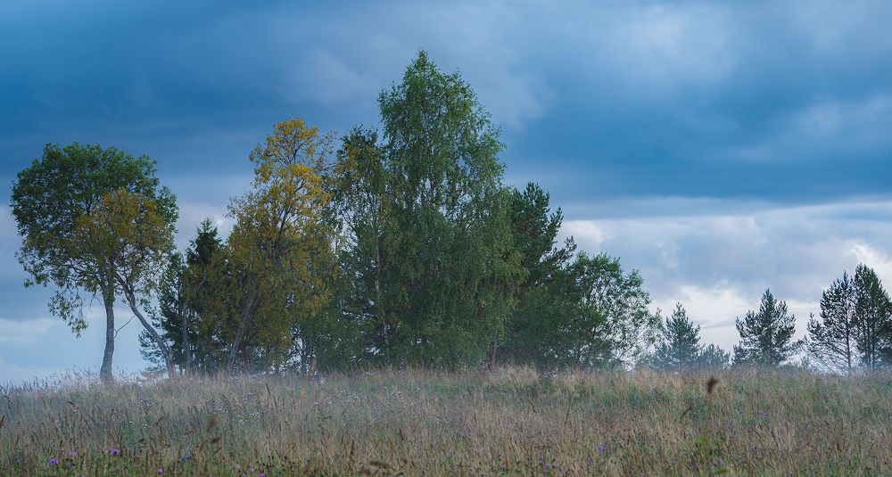 Photograph by Viktor Lazarev