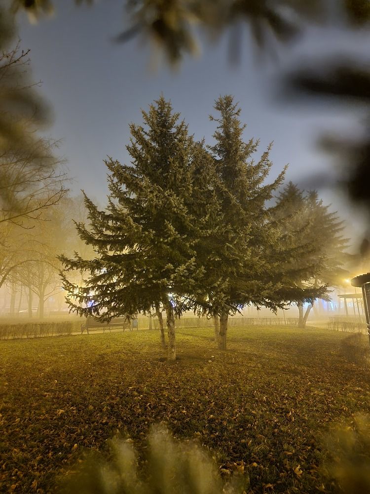 Photograph by Ирина Кравченко