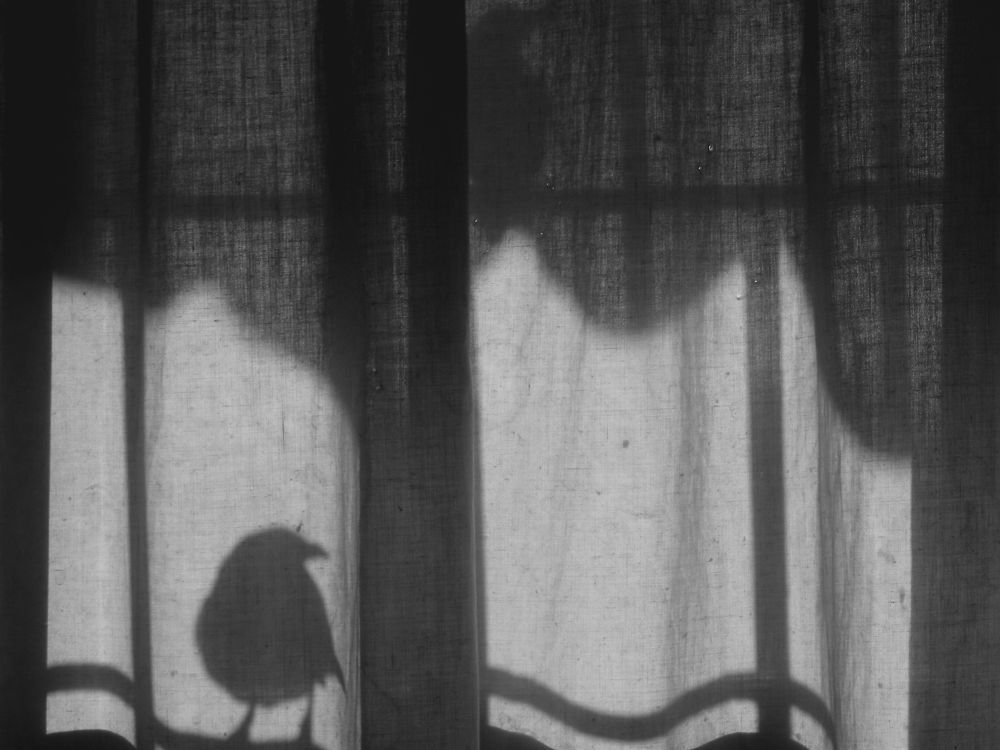 Stop saying nevermore (Poe is not here)