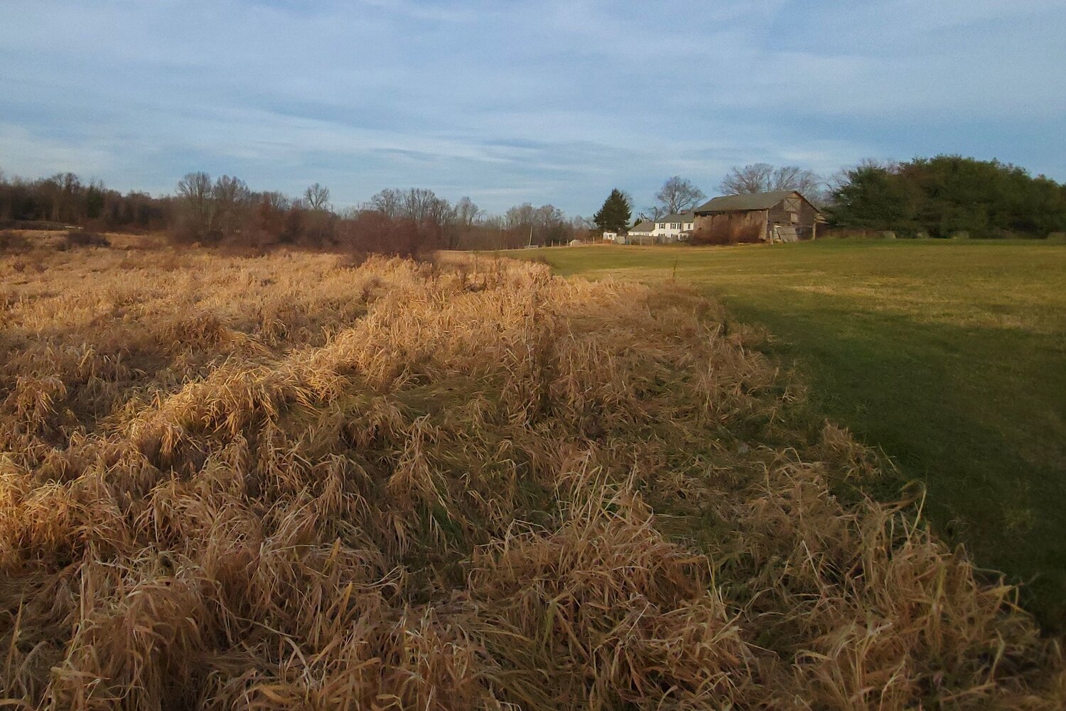 Photo #6885664