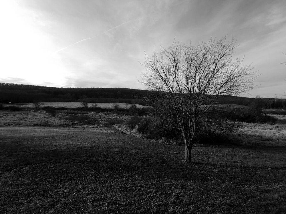 Photo #6885669