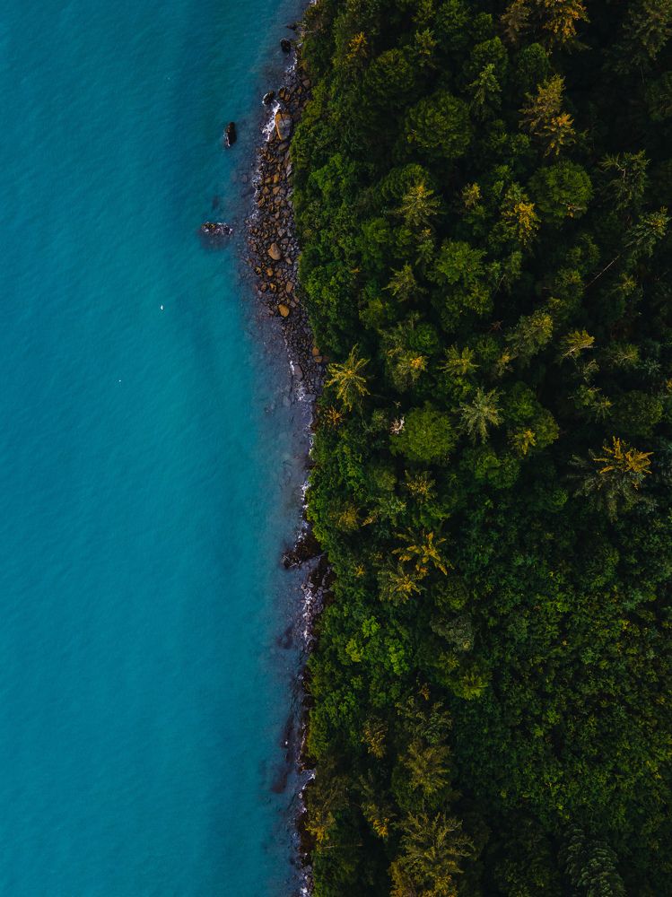 Photograph by Светлана