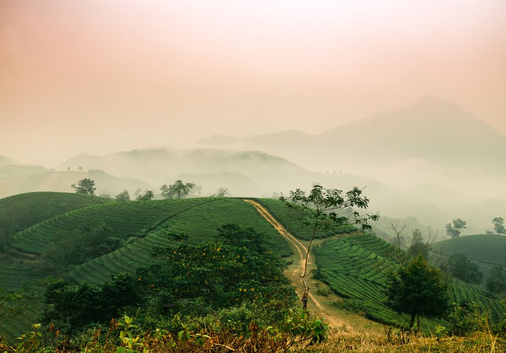 Photograph by Khổng Kiều Minh