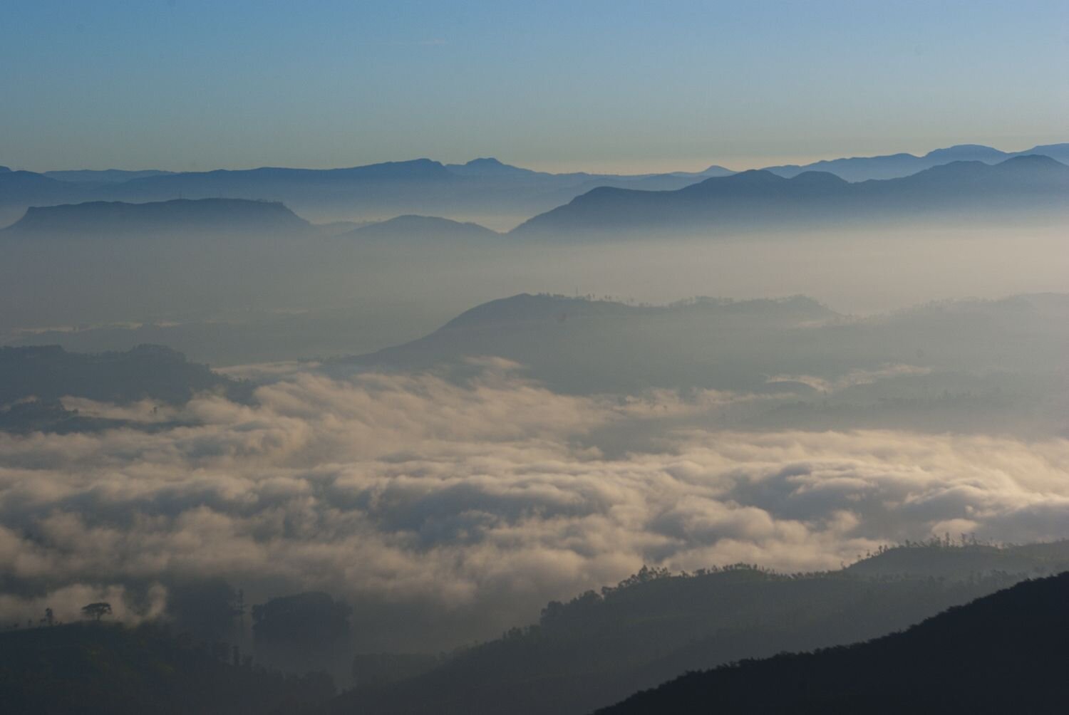 Photo #6885792