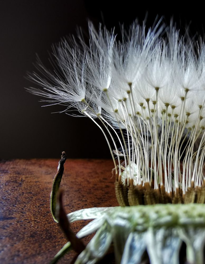 Photograph by Vedran Grebljanovic