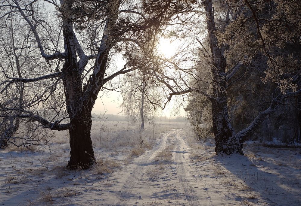 Photograph by Анатолий Васильев