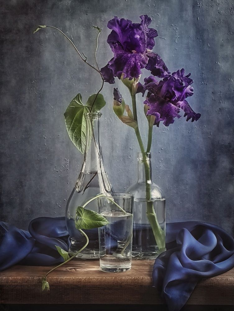 Ирисы и вьюнок