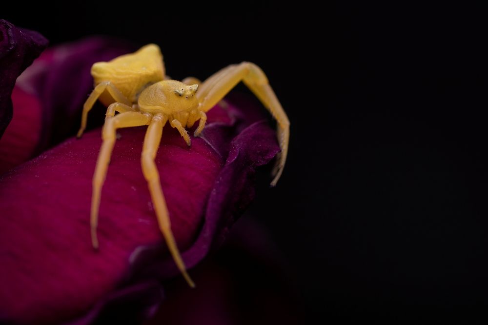 Photograph by Sleiby Hussam