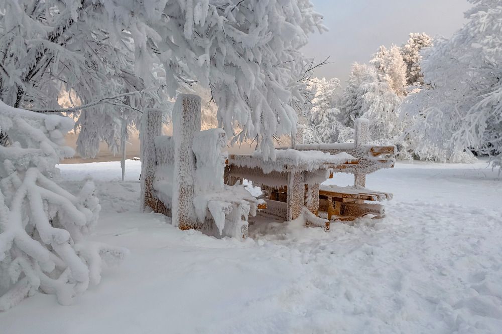 Photograph by Марина Фомина