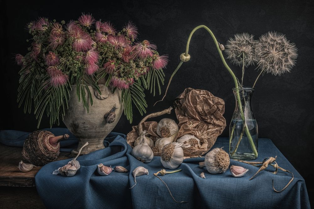 Photograph by Sleiby Hussam