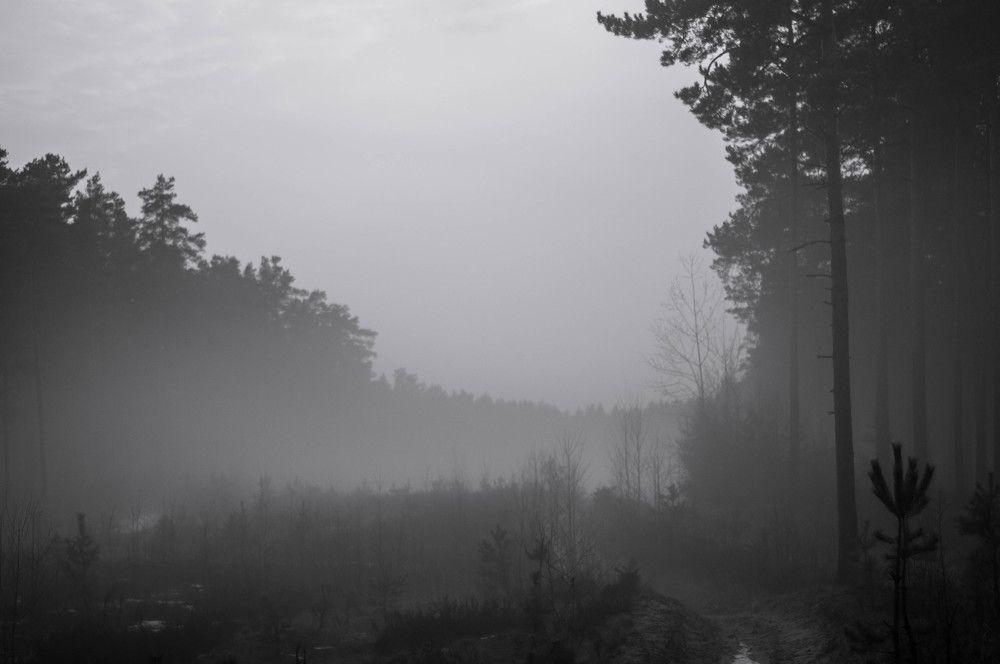 Photograph by Зуйкова Динара