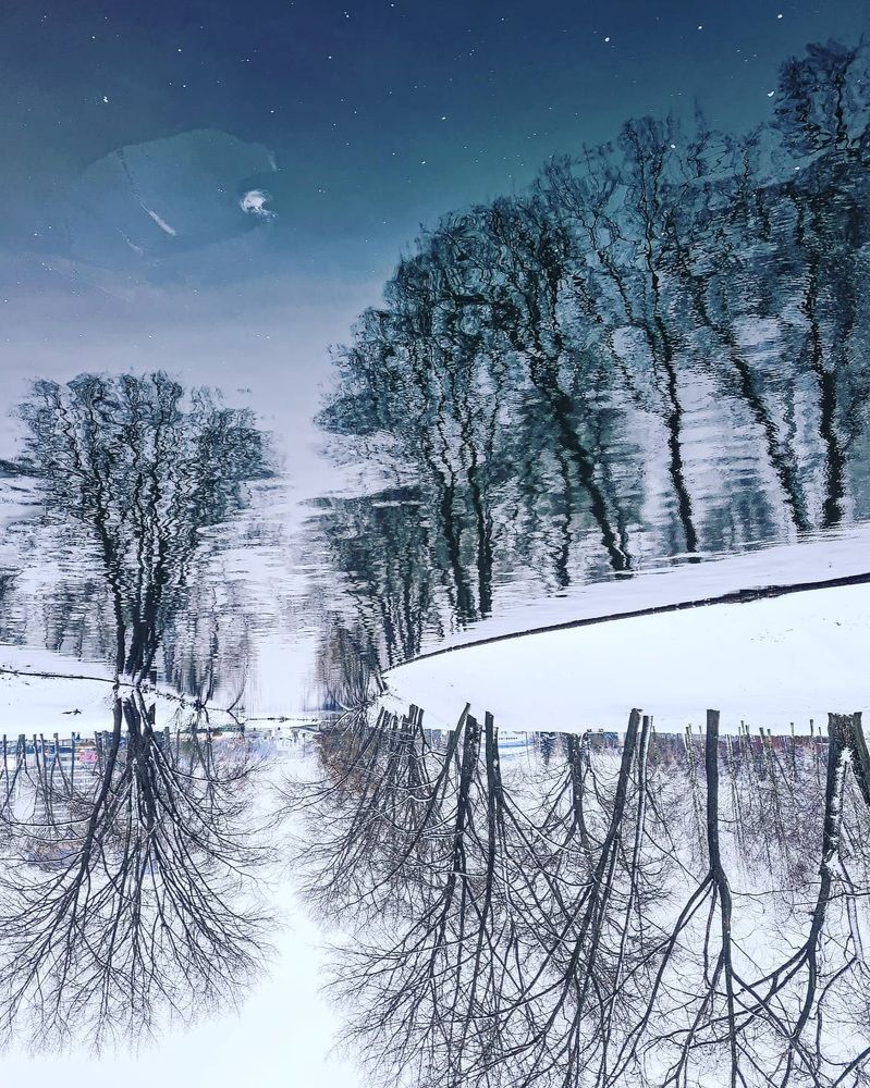 Photograph by Татьяна Соколовская