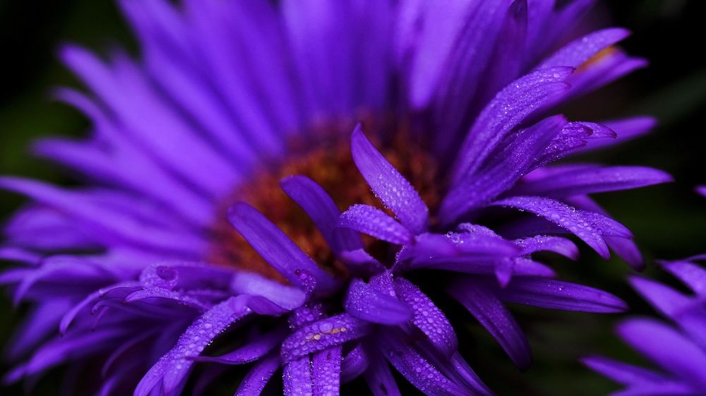 Photograph by Vedran Grebljanovic