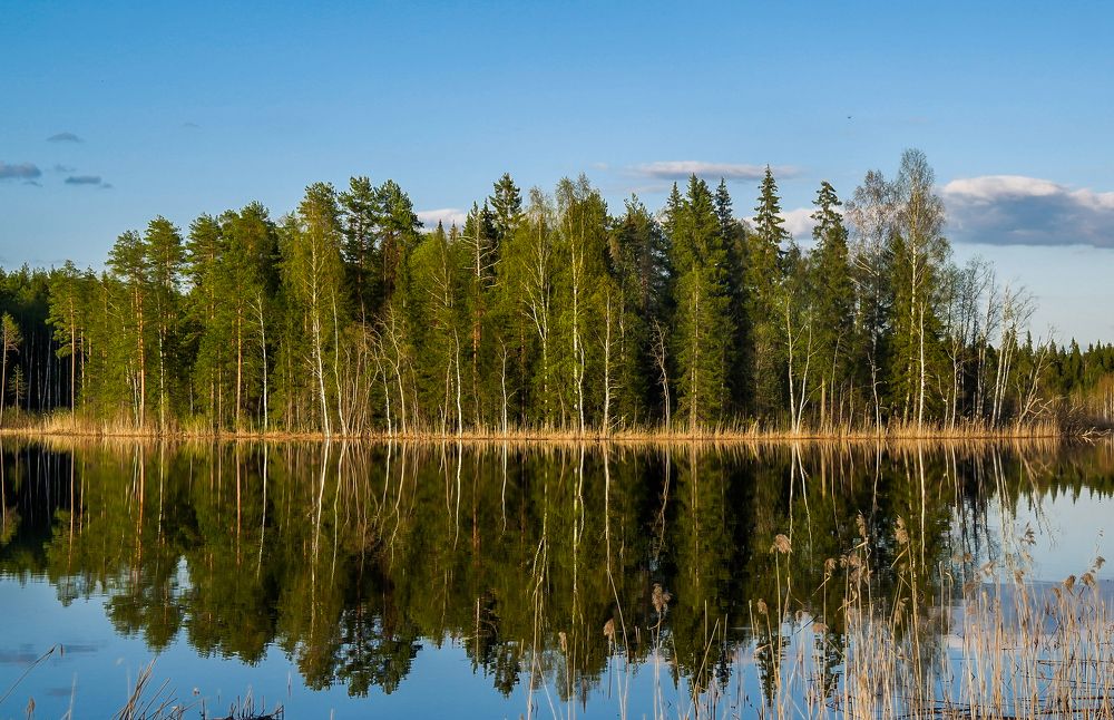 Photograph by Ольга Ситникова