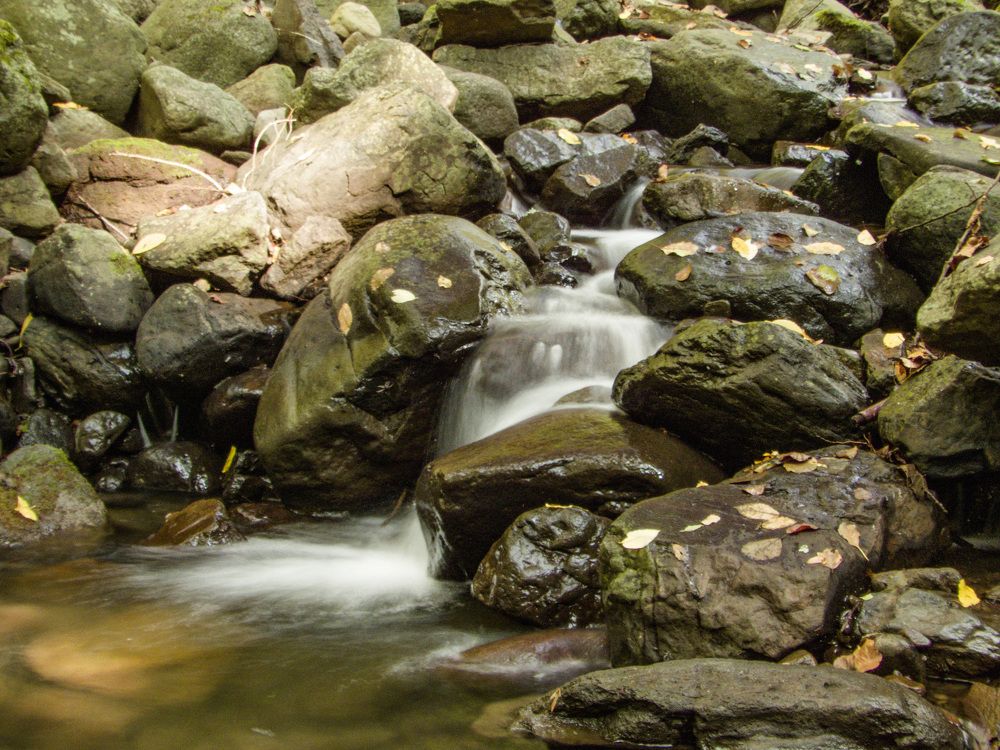 Photograph by János Rábli