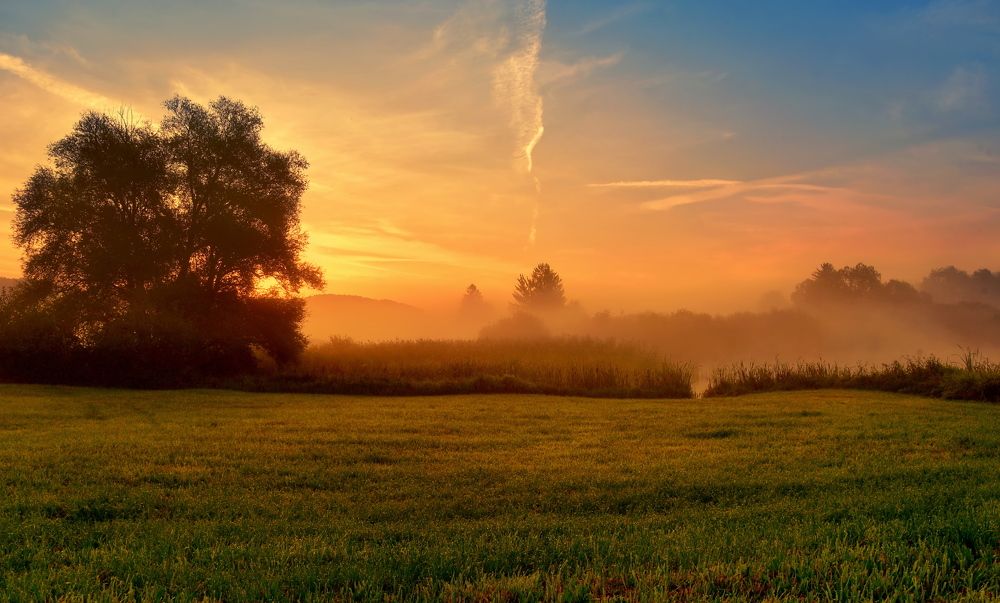 Photograph by Elena Wymann