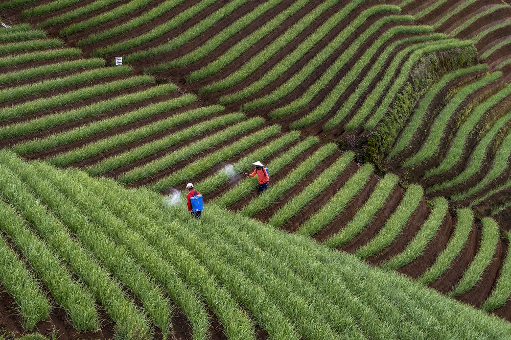 Morning activity in Argapura