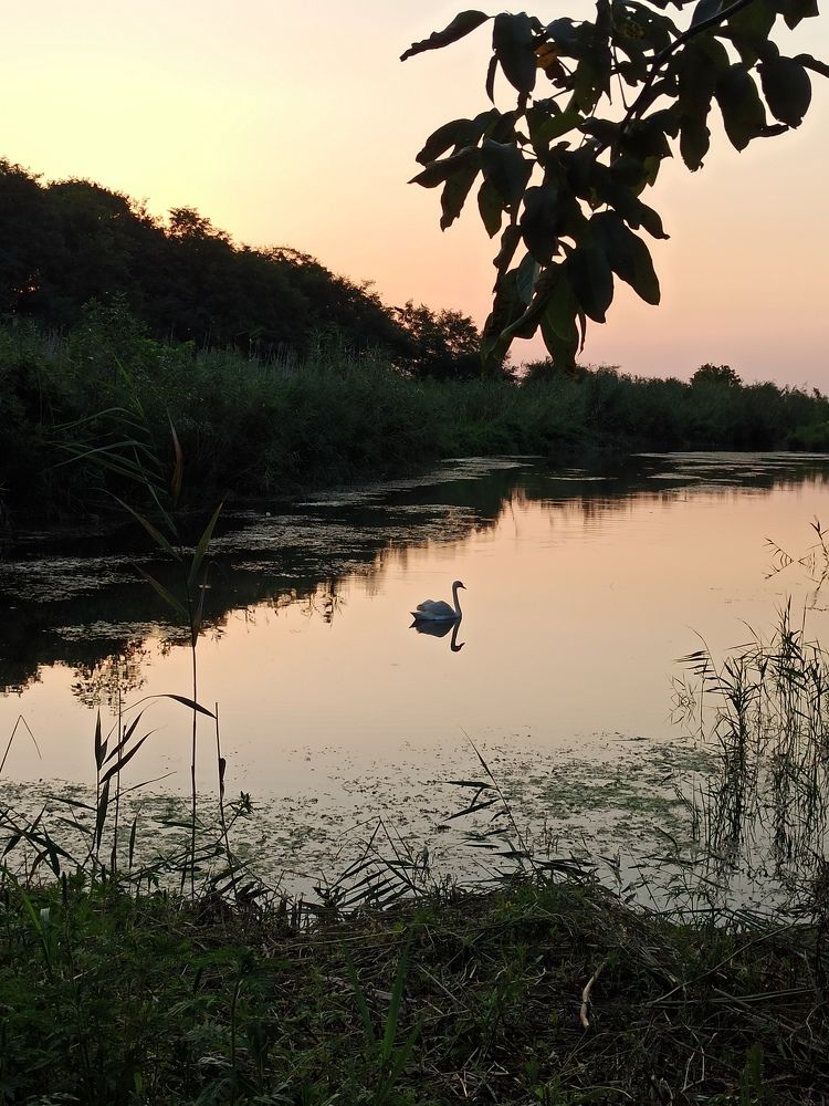 Photograph by Татьяна Долгушева