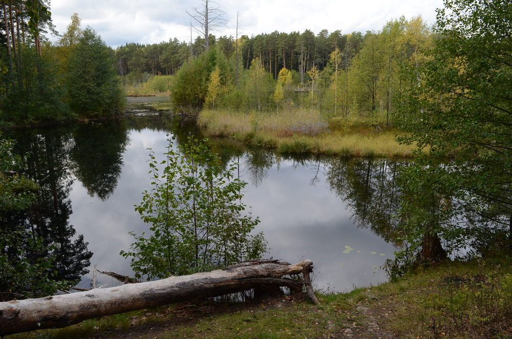 Фотография автора VALENTIN SCANDALIC