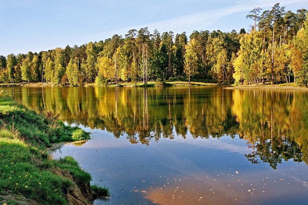 golden reflection                                                                                            reflectiongolden reflection