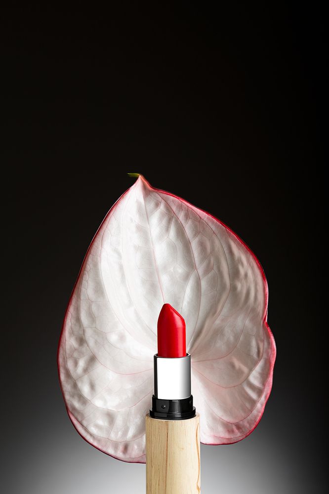 Photograph by Changiz Jalayer